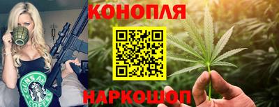 твердый Будённовск
