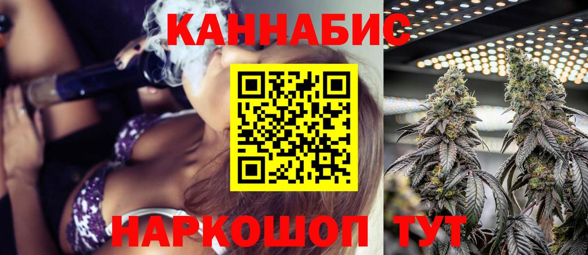 Бошки Шишки планчик Новочеркасск